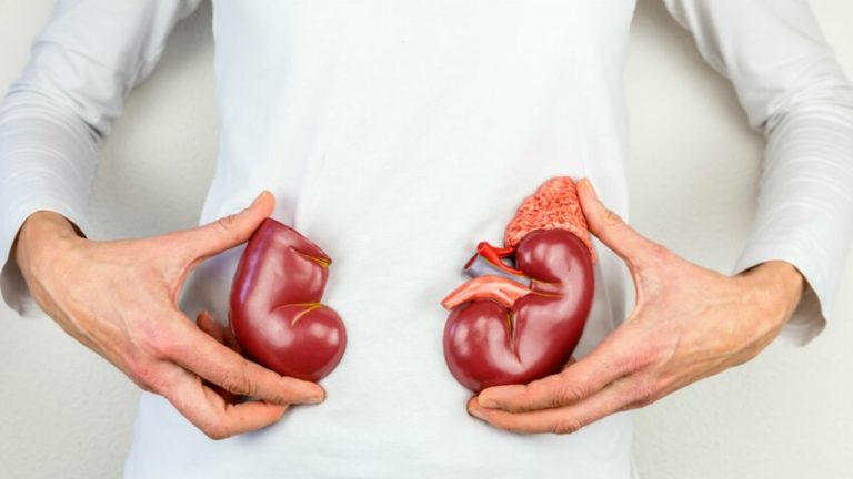 Qu’est-ce qui menace la santé de vos reins ? – mutuelle prévoyance santé